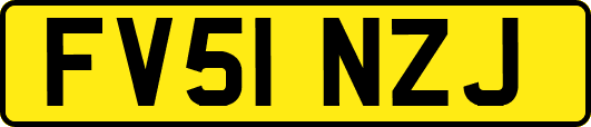 FV51NZJ