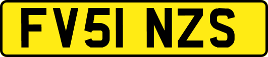 FV51NZS