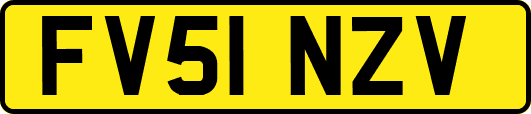 FV51NZV