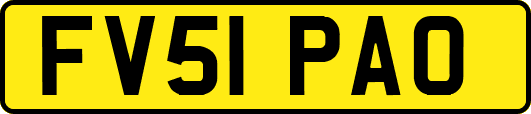 FV51PAO