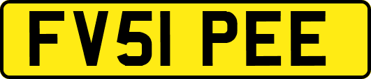 FV51PEE