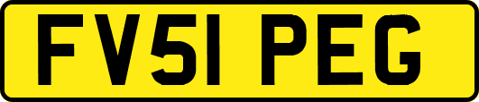 FV51PEG