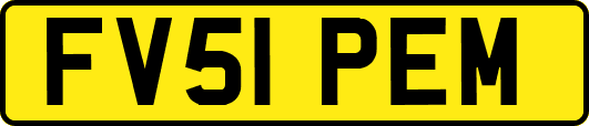 FV51PEM