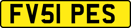 FV51PES