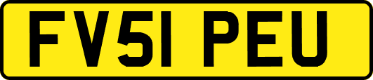 FV51PEU