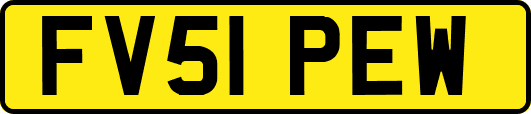 FV51PEW