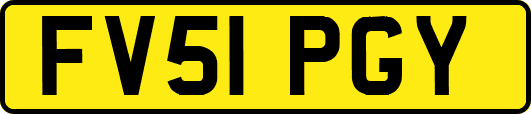 FV51PGY