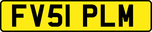 FV51PLM