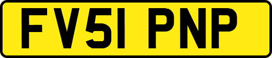 FV51PNP
