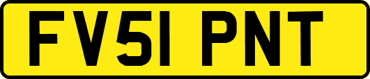 FV51PNT