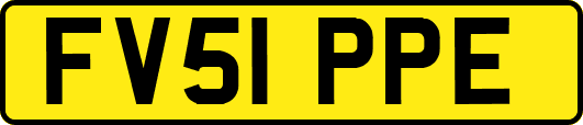 FV51PPE