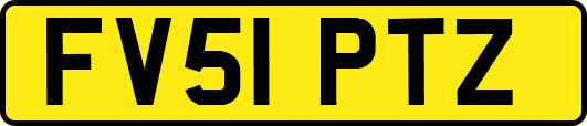 FV51PTZ