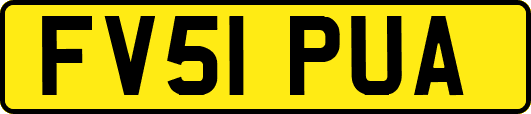 FV51PUA