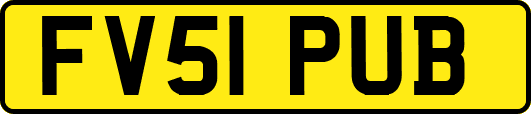 FV51PUB