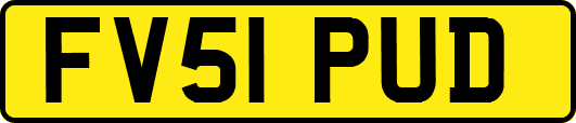 FV51PUD