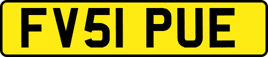 FV51PUE