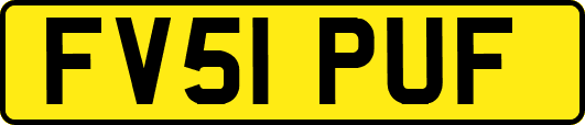 FV51PUF
