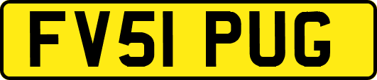 FV51PUG