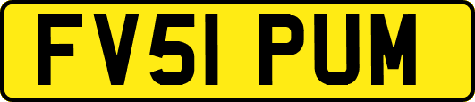 FV51PUM