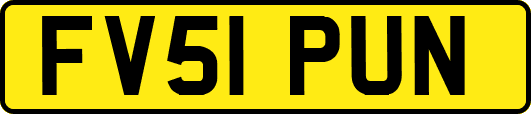 FV51PUN