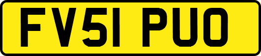 FV51PUO