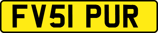FV51PUR
