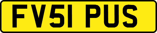 FV51PUS