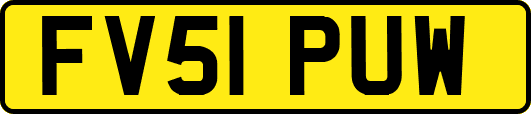 FV51PUW