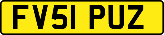 FV51PUZ