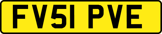 FV51PVE
