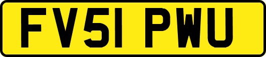 FV51PWU
