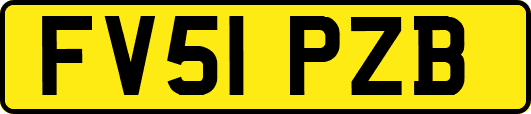 FV51PZB