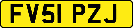 FV51PZJ