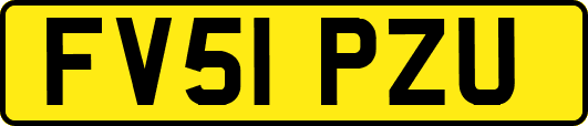 FV51PZU