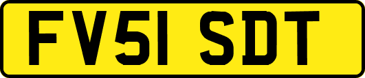 FV51SDT