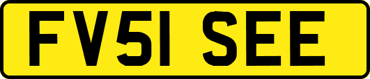 FV51SEE