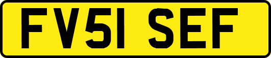 FV51SEF