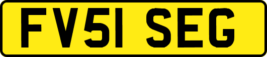 FV51SEG