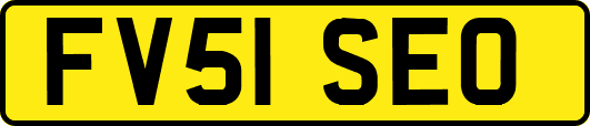 FV51SEO