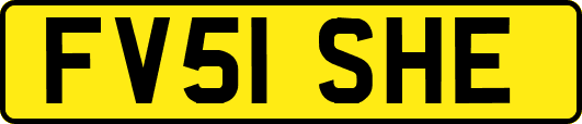 FV51SHE