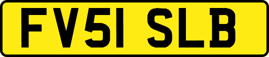 FV51SLB