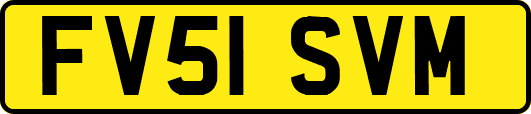 FV51SVM