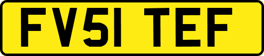 FV51TEF