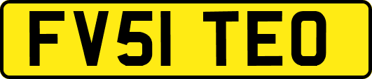 FV51TEO