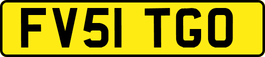 FV51TGO