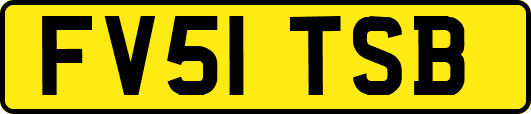 FV51TSB