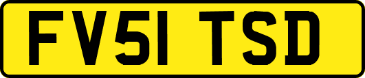 FV51TSD