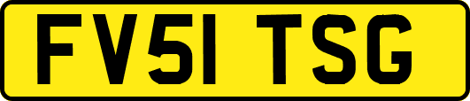 FV51TSG