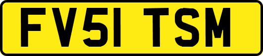 FV51TSM