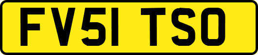 FV51TSO